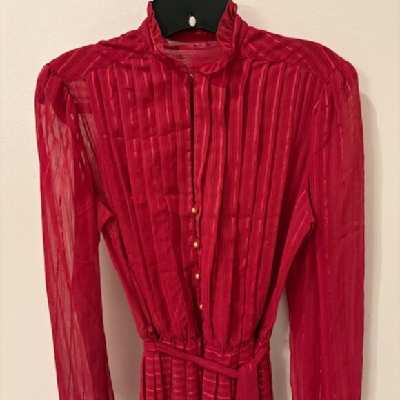 Ruby red sheer accordion pleated, classy dress - Picture 5 of 5